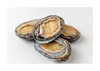 Abalone