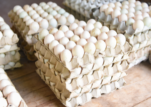 Eggs -Organic