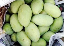 Farm fresh mangoes 100kg
