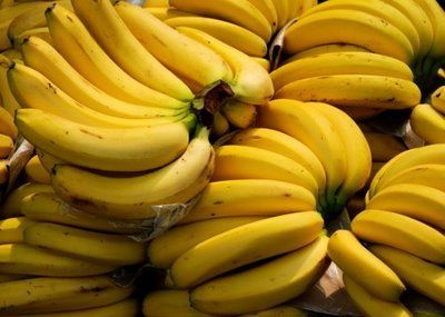 Banana Lakatan