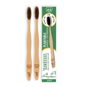 PLANTABLE Toothbrush in Paper Packaging (2pcs)