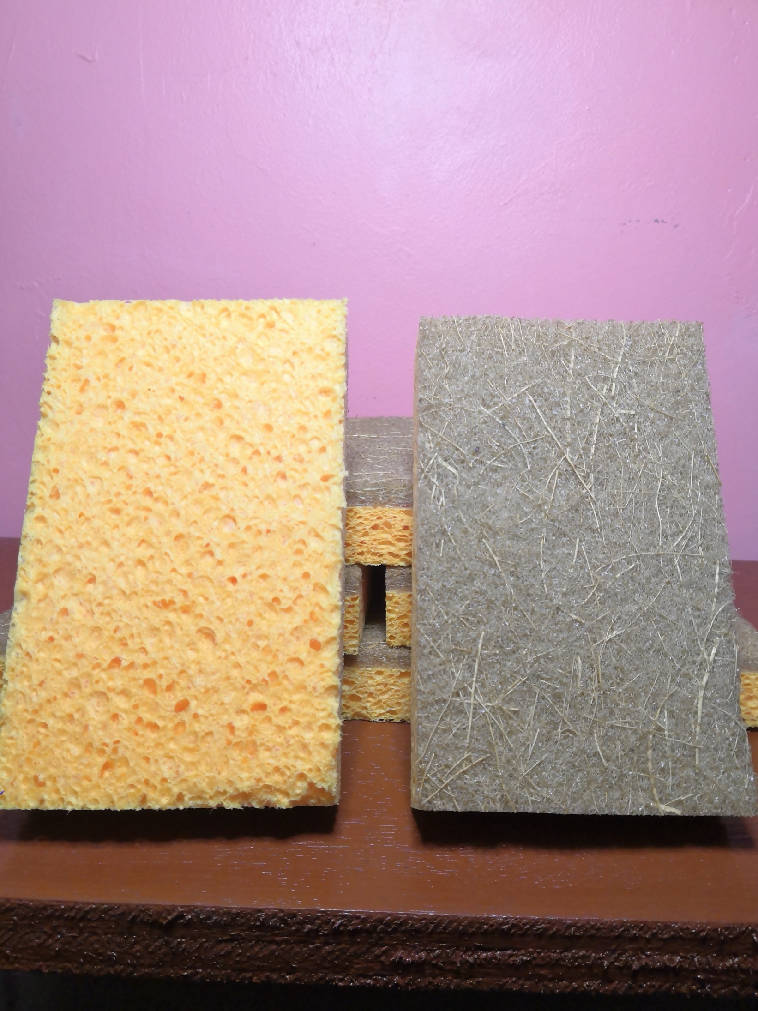Biodegradable Dishwashing Sponge