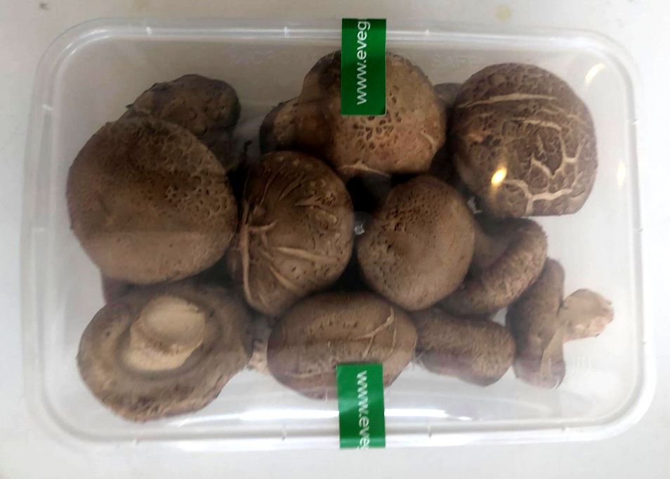 Fresh Shitake Mushrooms