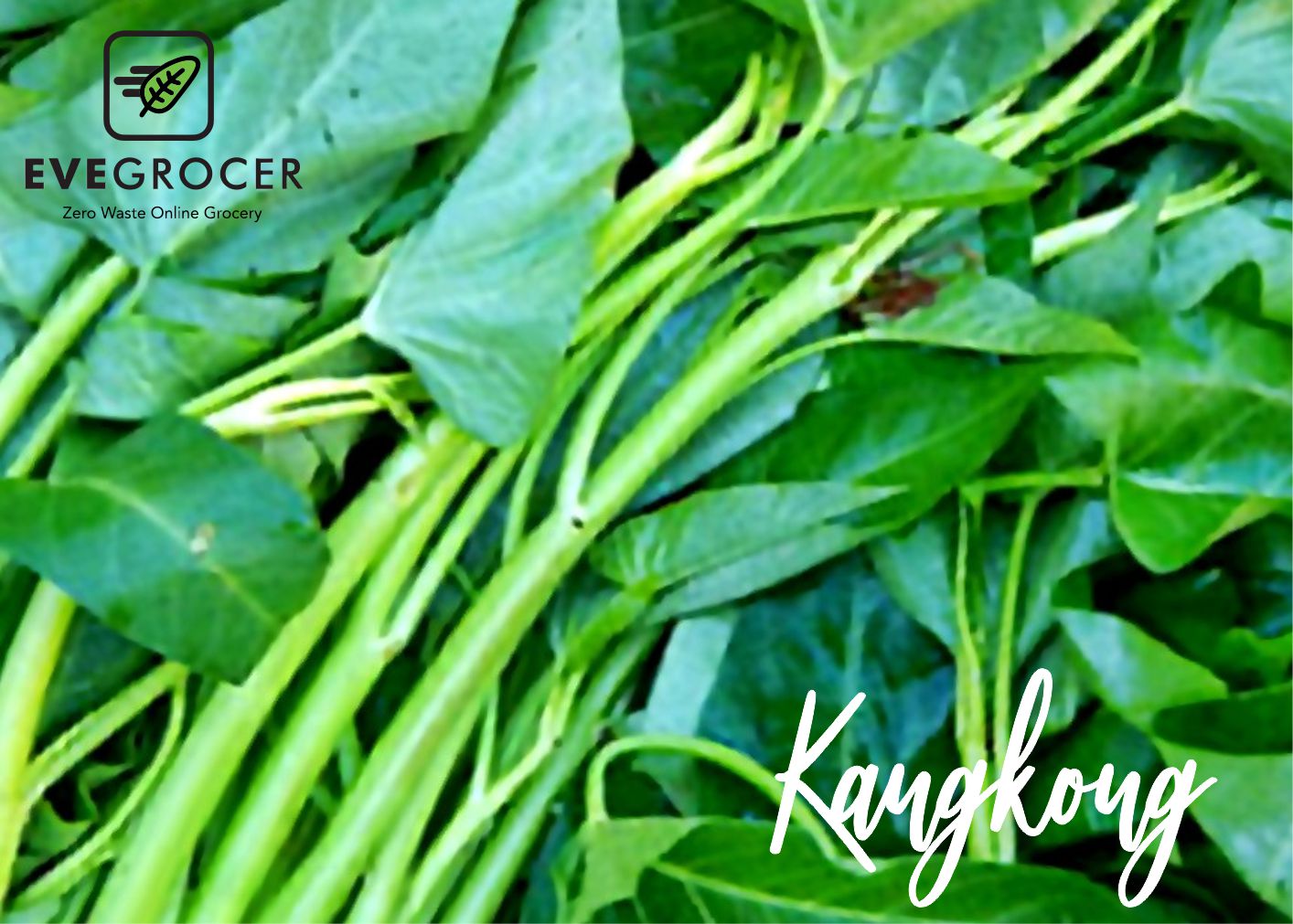 Kangkong – EveGrocer