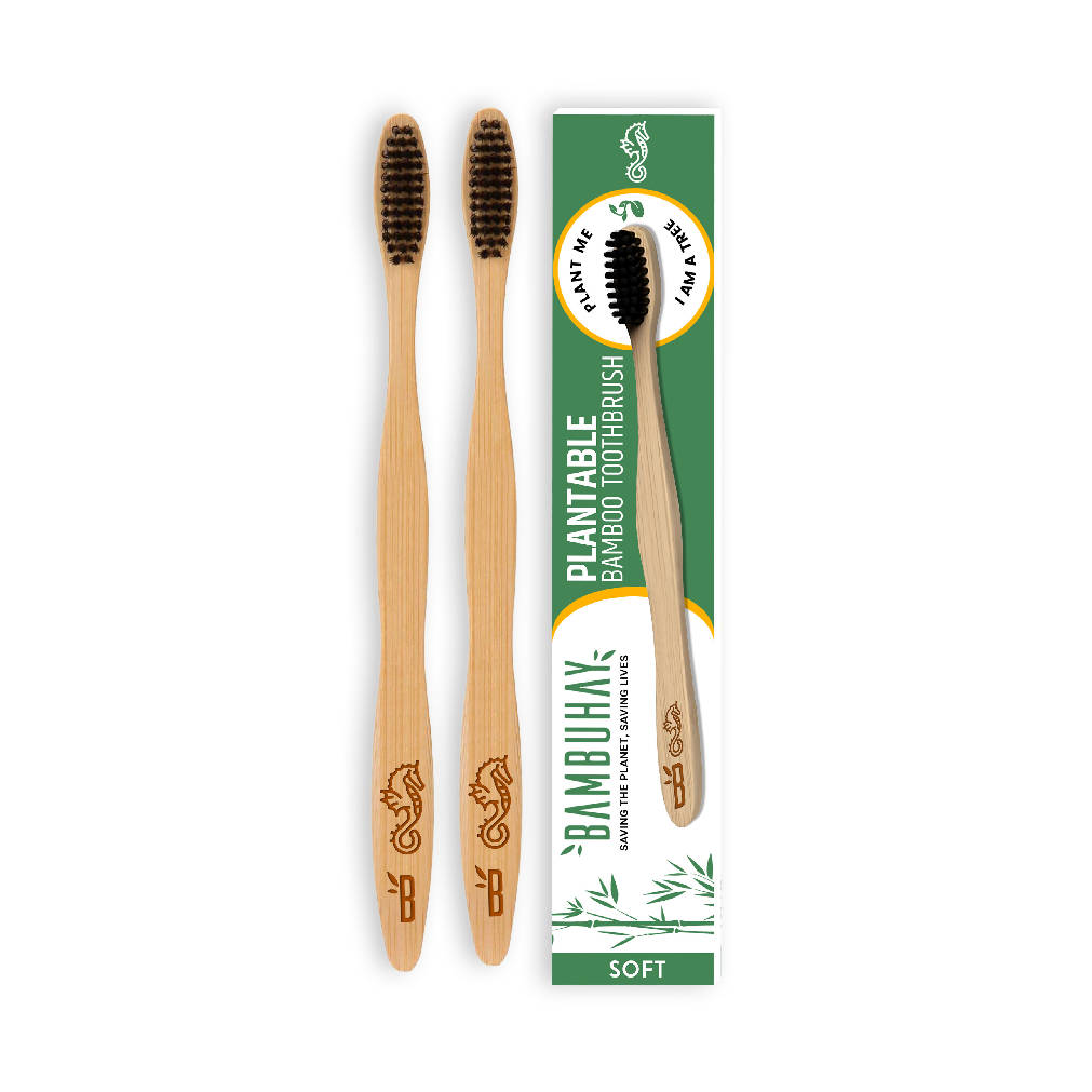 PLANTABLE Toothbrush in Paper Packaging (2pcs)