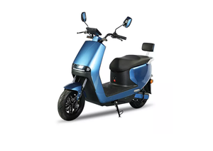 E- Scooter FY01