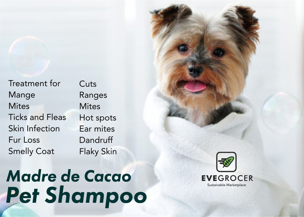 Madre de Cacao Pet Shampoo