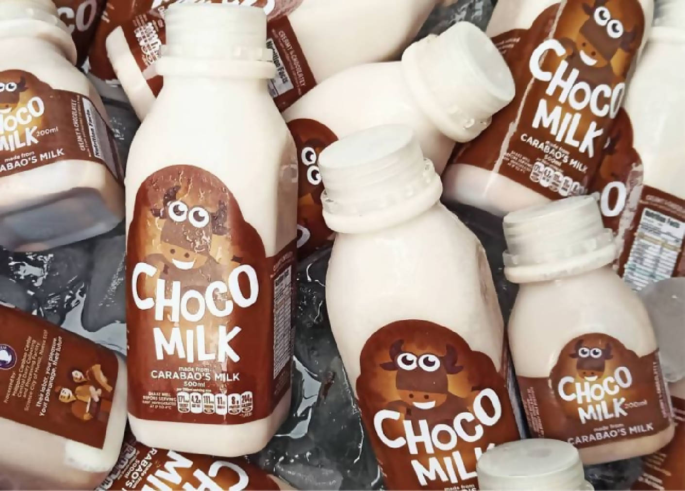 Carabao's Milk Choco flavor