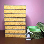 Biodegradable Dishwashing Sponge