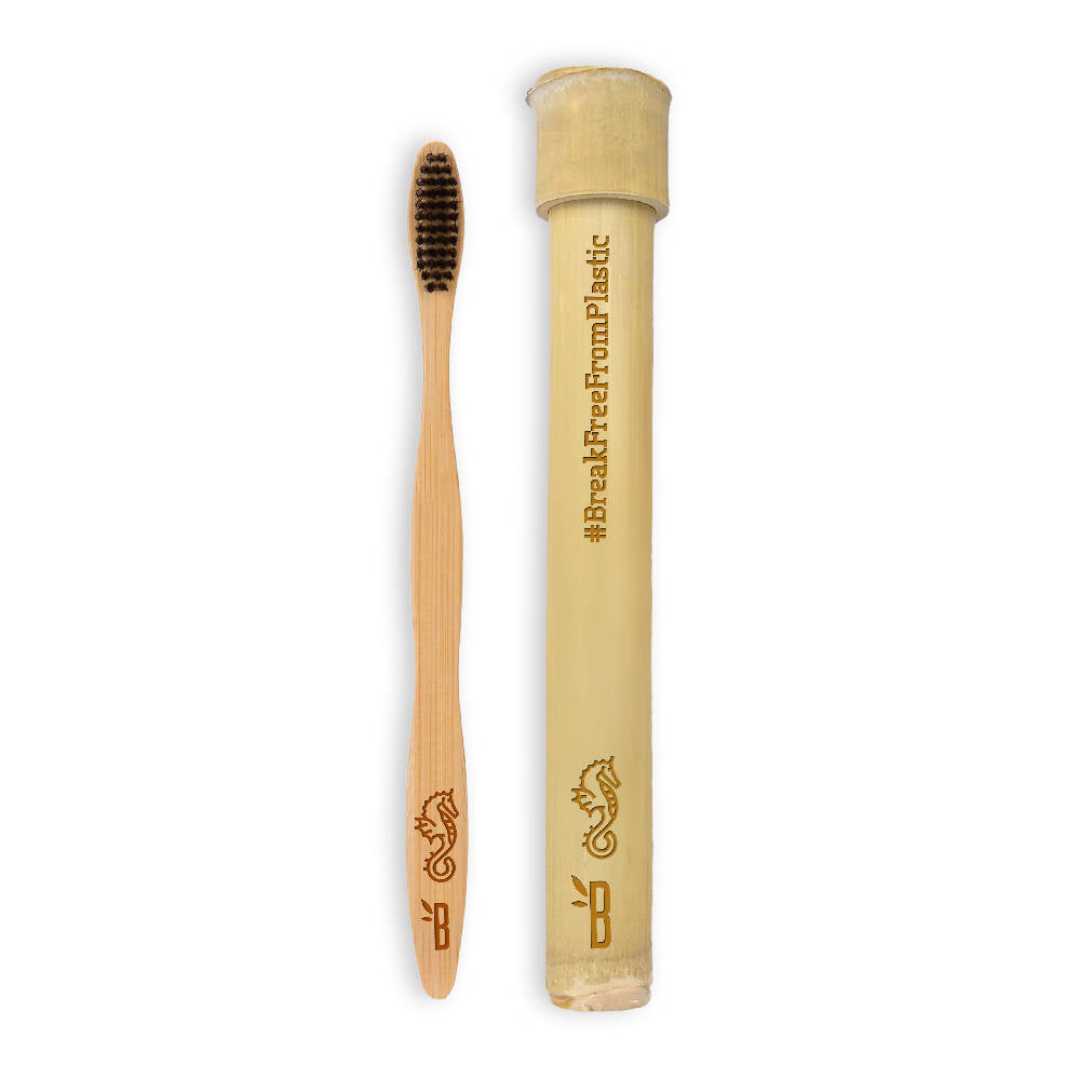 PLANTABLE Toothbrush in Bamboo Casing