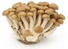 Shimeji Brown Mushrooms