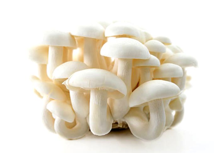 Copy of Shimeji White Mushrooms