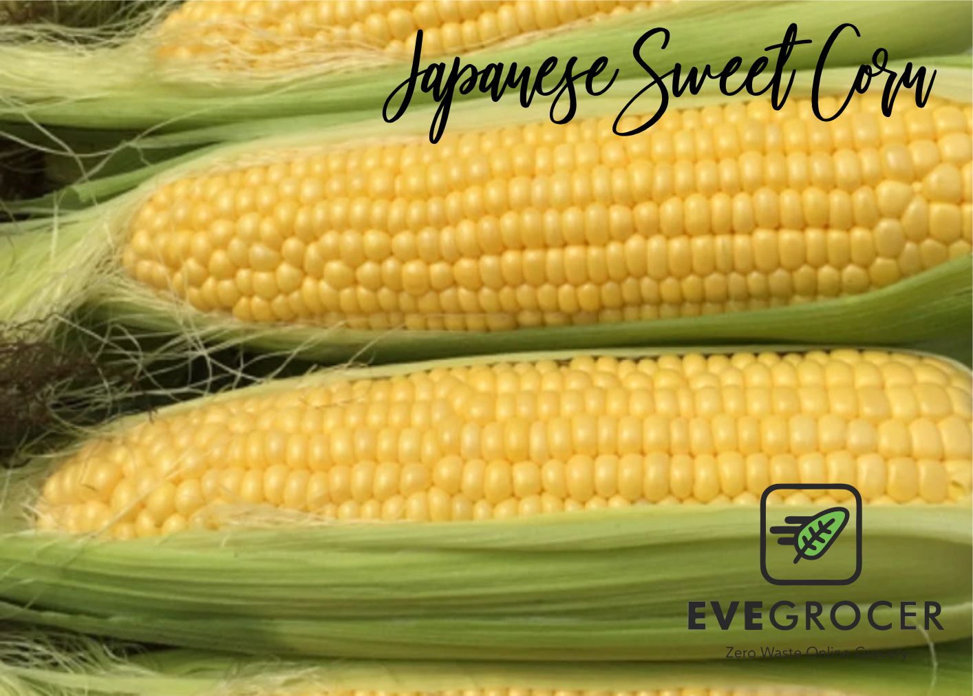 Japanese Sweet corn