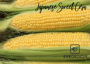 Japanese Sweet corn